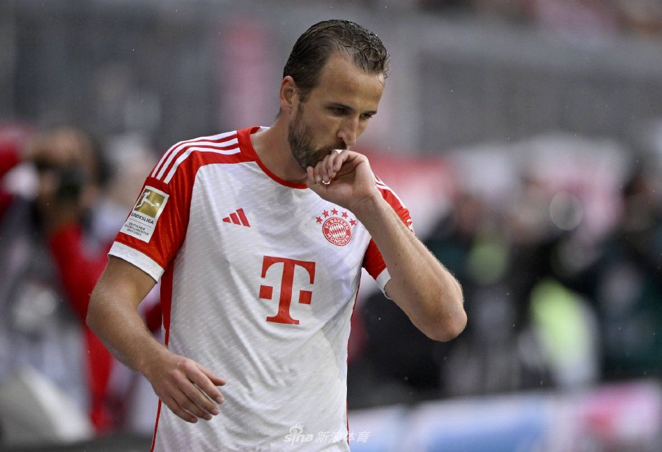 同样令人动 同样令人动