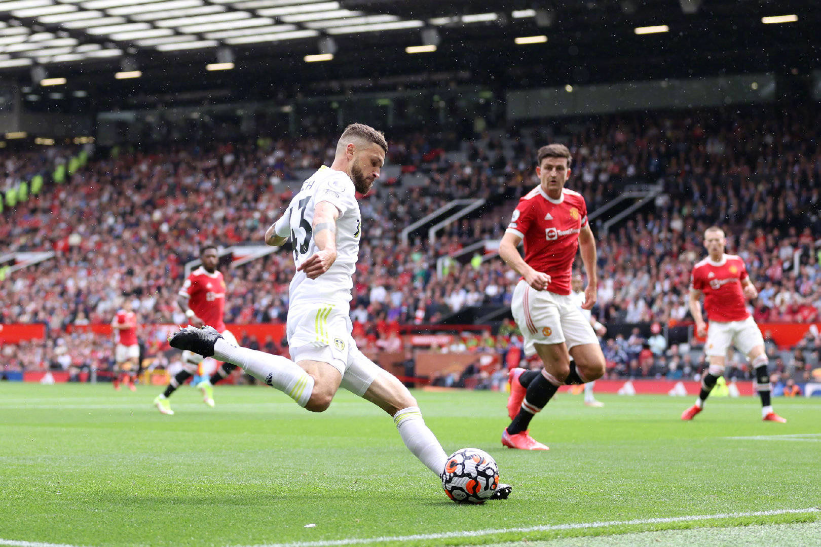 导了干季的 导了干季的